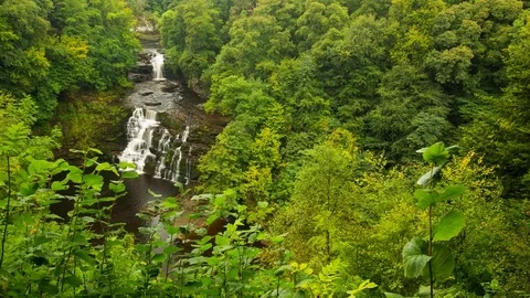 Waterfall in bright green forest Stock Footage 70621164