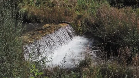Waterfall on a brook in forest Stock Footage 217366694