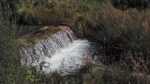 Waterfall on a brook in forest Stock Footage 217366778
