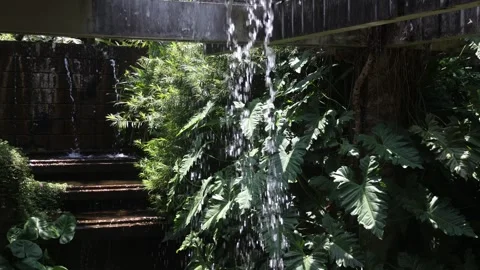 Waterfall in Burle Marx garden Stock Footage 259912251