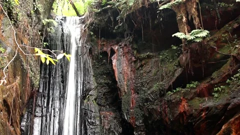 The Waterfall Cachoeira Capelao Stock Footage 161279704
