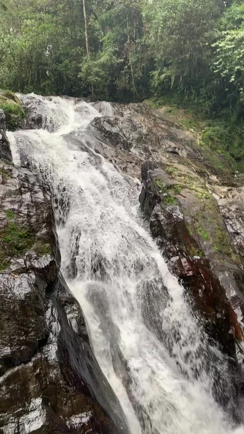 Waterfall in Cameron Highlands Vídeos de archivo 343428394