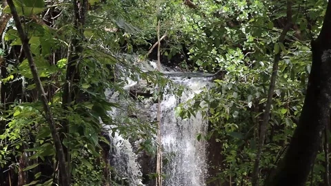 Waterfall in Caribbean Jungle Video stock 88922029