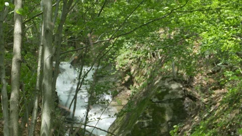 Waterfall in Carpathian Mountains Stock Footage 107491109