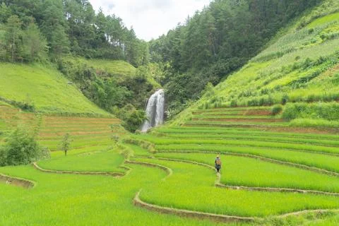 Waterfall cascade and stream river with fresh paddy rice terraces, green ag.. Stock Photos