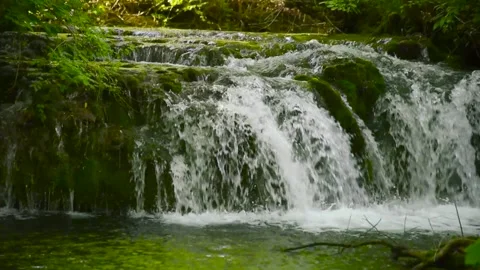 Waterfall cascade in deep forest. Wild nature water fall creek landscape. Natura Stock Footage 345741632