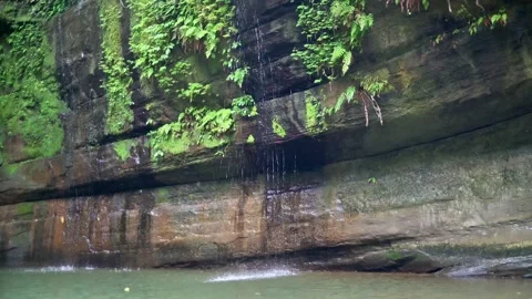 Waterfall cascade down the mossy rock and splashing  into the pool Video stock 131695196