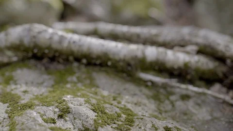 Waterfall - Cascade Stock Footage 129853458