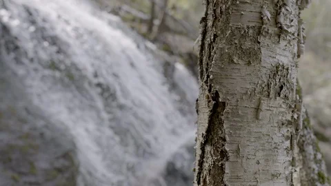 Waterfall - Cascade Stock Footage 129853681