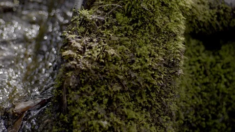 Waterfall - Cascade Stock Footage 129855500