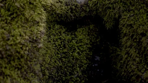 Waterfall - Cascade Stock Footage 129857537