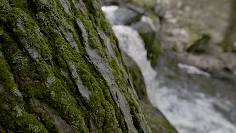 Waterfall - Cascade Stock Footage 129888713