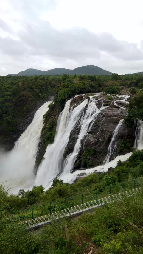 Waterfall, cascade, Malalli fall, rainforest, monsoon, Karnataka, India. Stock Footage 313850569
