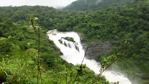 Waterfall, cascade, Malalli fall, rainforest, monsoon, Karnataka, India. Stock Footage 313850607