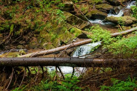 Waterfall cascade on mountain cliffs. Mountain waterfall in the mountains. Mo Stock Photos