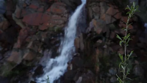 Waterfall. Cascade. Mountain Waterfall. Stock Footage 75831486