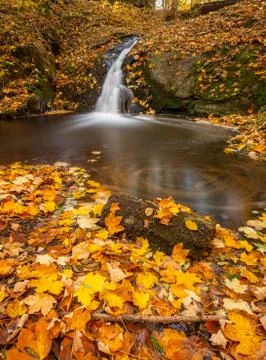 Waterfall cascade over rocks covered with colorful leaves in autumn, long exp Stock Photos