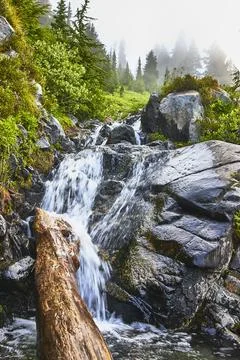 Waterfall Cascade Over Rocky Stream With Lush Greenery And Misty Forest Stock Photos