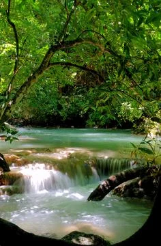 Waterfall Cascade Stock Photos