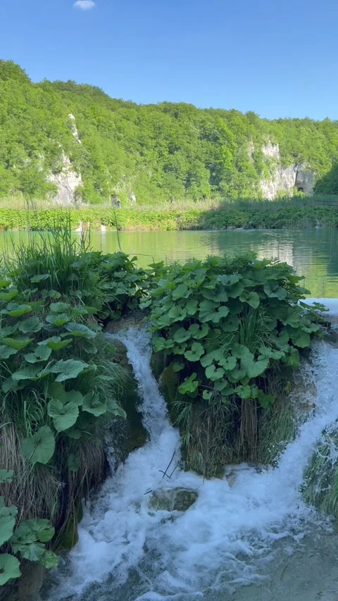 Waterfall cascade at Plitvice Lakes with green plants and flowing water. The vid Stock Footage 337782169