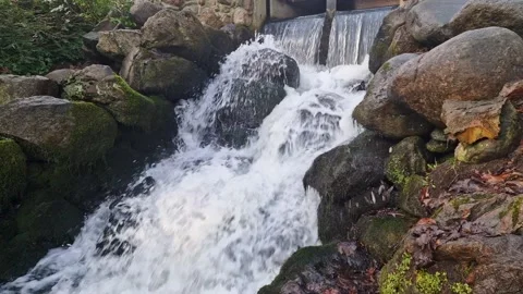 Waterfall cascade in public park. River waterfall falls from cliff. Stock Footage 231345028