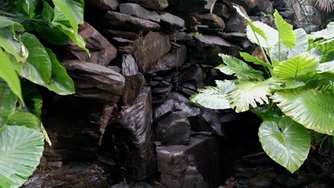 Waterfall cascades down a mossy stone wall, surrounded by lush foliage at the Stock Footage 279852432