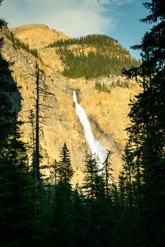 Waterfall cascades down a steep cliff face, framed by evergreen trees. Stock Photos