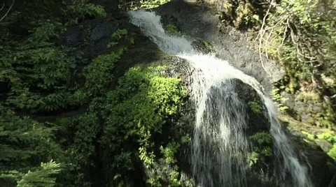 Waterfall in the Cascades Video stock 320028