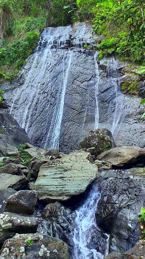 A waterfall cascades peacefully down smooth rock cliffs. Vidéo 126182717