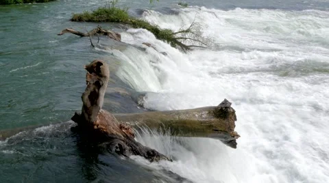 Waterfall cascades with tree trunk Stock Footage 50734658