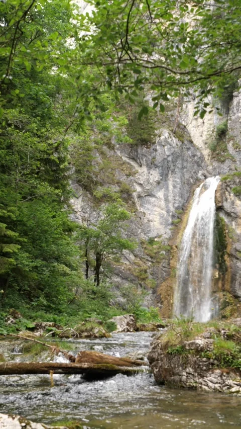 Waterfall cascading into a clear stream in a lush green forest gorge Stock Footage 341666403