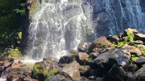 Waterfall cascading in close view over mossy rocks in Georgia forest Stock Footage 343767723
