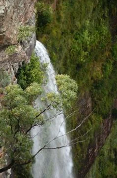 A waterfall cascading down a cliff surrounded by trees. Stock Photos
