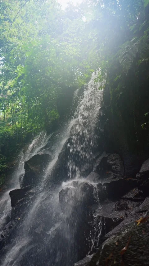 Waterfall cascading down forest rocks with sunlight 動画素材 341515292