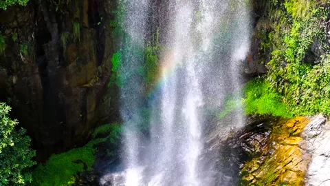 Waterfall cascading down a lush green canyon with a vibrant natural rainbow 動画素材 347058272