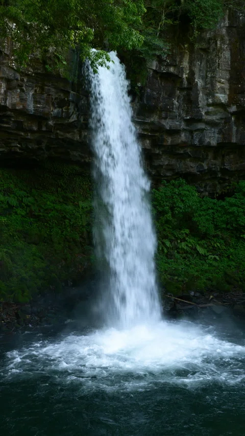 Waterfall cascading down a lush rock face (Realtime / PANNING) Stock Footage 339637988