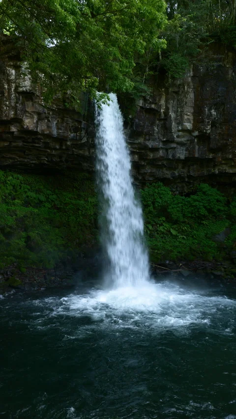 Waterfall cascading down a lush rock face (Realtime / STATIC) Stock Footage 339638025