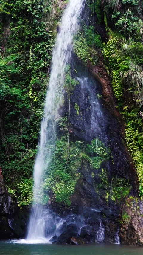Waterfall Cascading Down Lush Tropical Cliffside Into A Serene Natural Pool 스톡 동영상 342027991