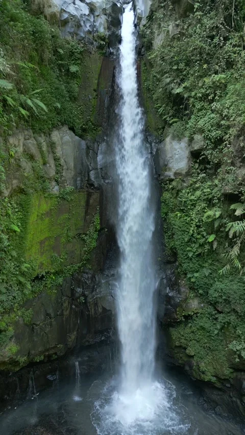 Waterfall cascading down moss-covered cliffs in lush green jungle in Indonesia. Stock Footage 307055124