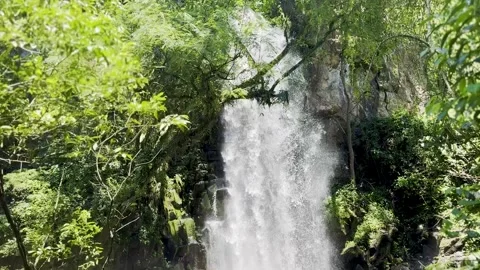 Waterfall Cascading Down Moss-Covered Rock Face at Iguazu Falls Stock Footage 348022683
