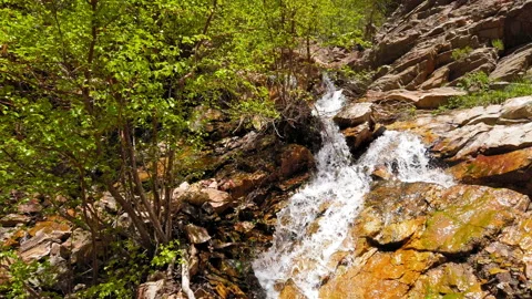 Waterfall cascading down mountainside among trees in slow motion 库存影片 202152229