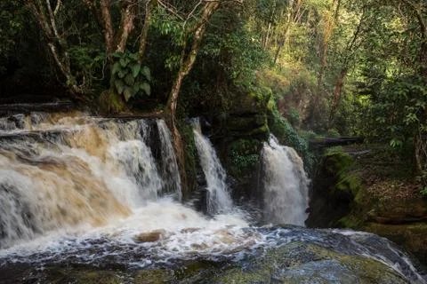 Waterfall cascading down rocks into the Amazon River in the State of Amazonas Foto stock