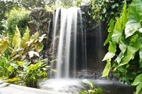 Waterfall cascading down rocks with lush tropical plants Foto stock