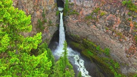 Waterfall cascading down rocky canyon cliff framed by pine trees wide drone shot Stock Footage 344137782