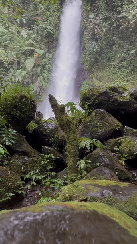 Waterfall Cascading Down Rocky Cliff in Lush Green Rainforest, Vertical Tracking Stock Footage 324496735