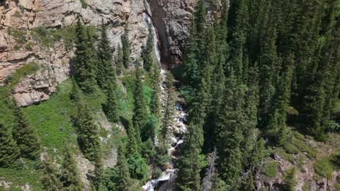 Waterfall cascading down rocky cliffs in a coniferous forest Stock-Footage 312437069