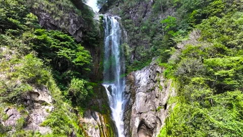 Waterfall Cascading Down Rocky Cliffside Surrounded by Green Forest Vegetation Stock Footage 347058651