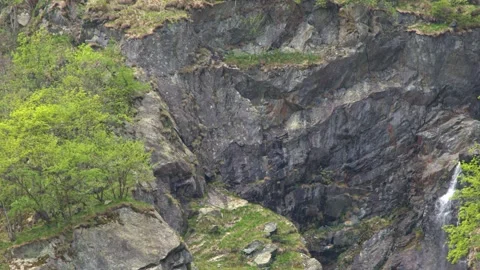 Waterfall Cascading Down Steep Alpine Rock Face with Green Trees Stock-Footage 336591714