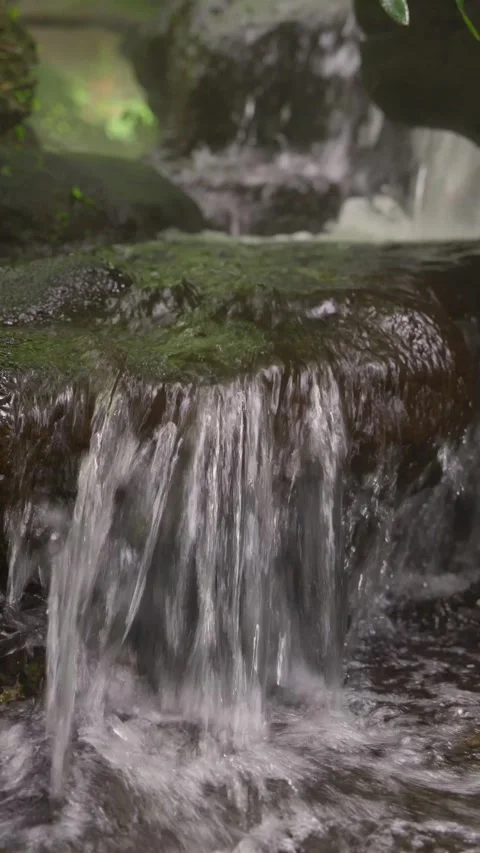 A waterfall cascading down in tiers against a backdrop of lush green ferns Stock Footage 314503414