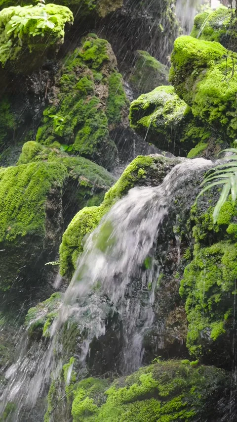 A waterfall cascading down in tiers against a backdrop of lush green ferns Stock Footage 314503660